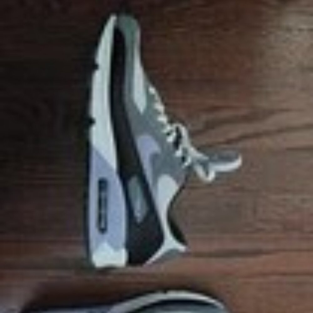 Nike Air Max 90 DM0029 014 Photon Dust/Light Thistle/Cool Grey Men's Size 10